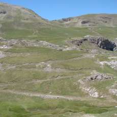 DSC02691